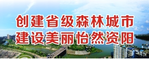 啊啊啊好疼骚逼视频创建省级森林城市 建设美丽怡然资阳